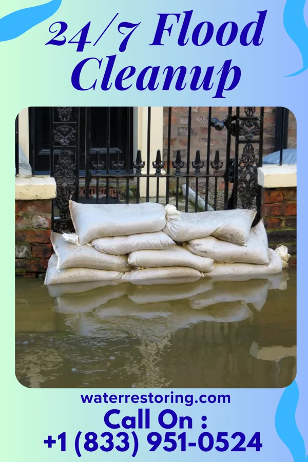24/7 Flood Cleanup in Lynn, AR
