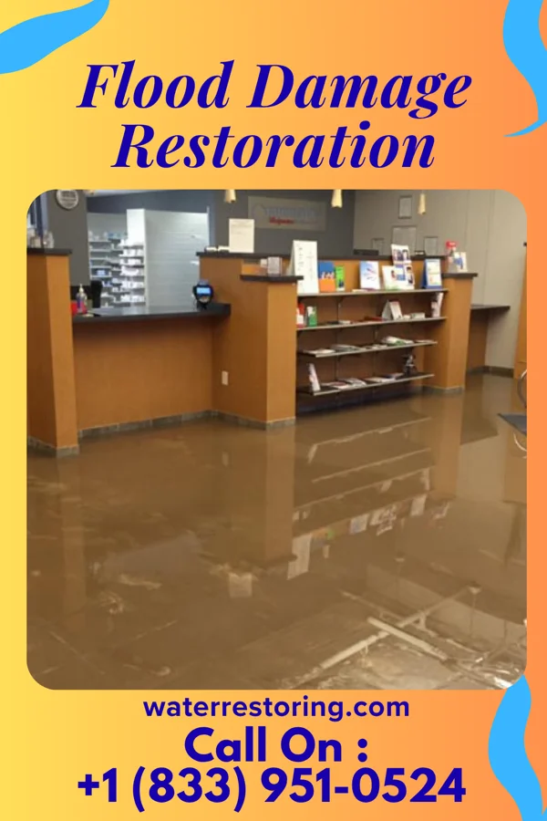 Flood Damage Restoration in Lynn, AR