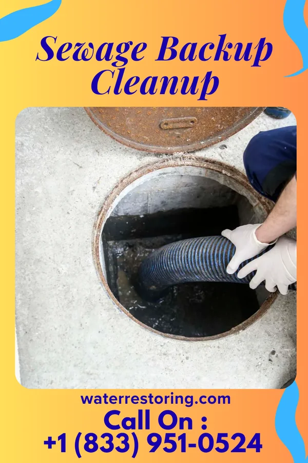 Sewage Backup Cleanup in Lynn, AR
